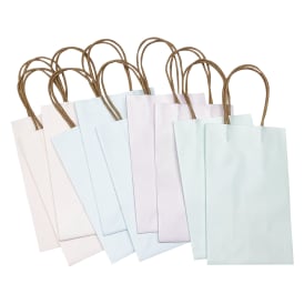 10-Pack Small Kraft Gift Bags 8.35in x 5.2in