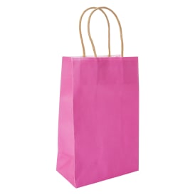 Small Kraft Gift Bags 8-Pack
