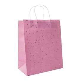 Large Kraft Bags 5-Pack