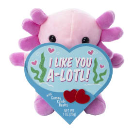 Valentine's Day Mini Axolotl Plush With Candy