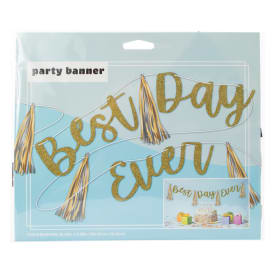 'Best Day Ever' Party Banner 96in x 8in
