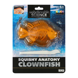 Unbelievable Science Squishy Anatomy