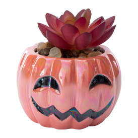 Pumpkin Faux Succulent