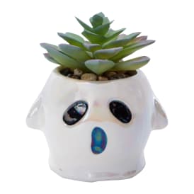 Ghost Faux Succulent