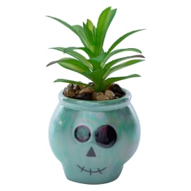 Skull Faux Succulent