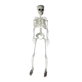 3ft Halloween Skeleton