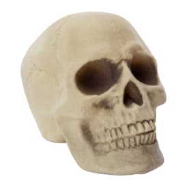 Halloween Skeleton Bone Decor