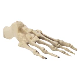 Halloween Skeleton Bone Decor