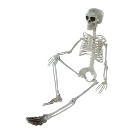 Posable Skeleton Halloween Decor 4.5ft | Five Below