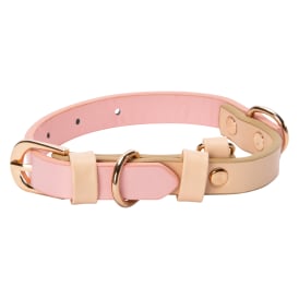 Two-Tone Pet Collar