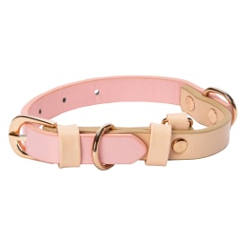 Pawsitively Fun! 2-Tone Pet Collar - Medium