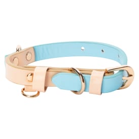 Pawsitively Fun! 2-Tone Pet Collar - Large