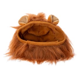 Lion Hood Pet Costume