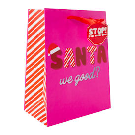 Christmas Gift Bag - ‘Santa, We Good?’