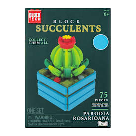 Block Tech® Succulents Block Set