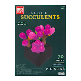 Block Tech® Succulents Block Set