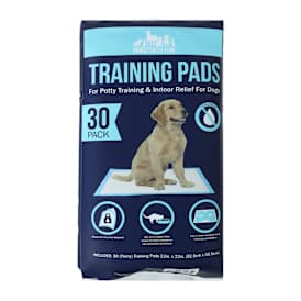 Pawsitively Fun! Pets Training Pads 30-Pack