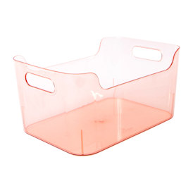 Small Plastic Storage Bin