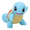 Image of Squirtle variant