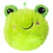 Image of Frog variant