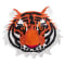 Image of Tiger variant