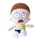 Image of Morty variant