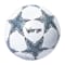 Image of Silver variant