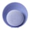 Image of Purple variant