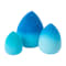 Image of Blue variant