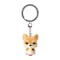 Image of Ramen Shiba variant