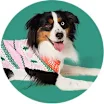 Holiday > Cozy Shop > Cozy Pet Gear