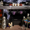 Halloween > Halloween Decor