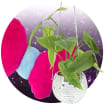 Affordable Brands and Popular Products > Concert Outfits & More > Decor