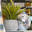 Back To School > Classroom Ready > Classroom Decor